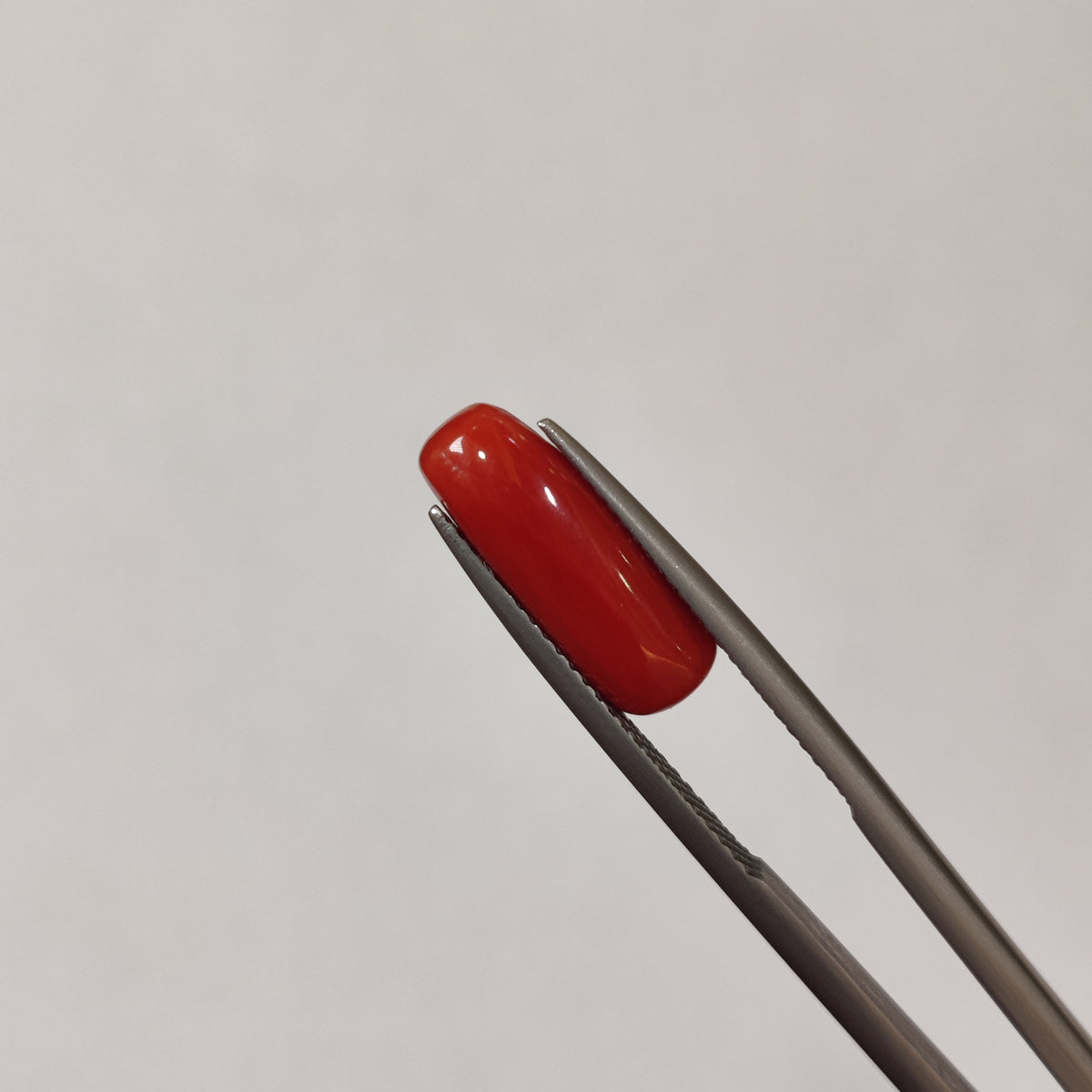 Natural Coral (Moonga) | Coral 111 | 3.62 Carat | Certified