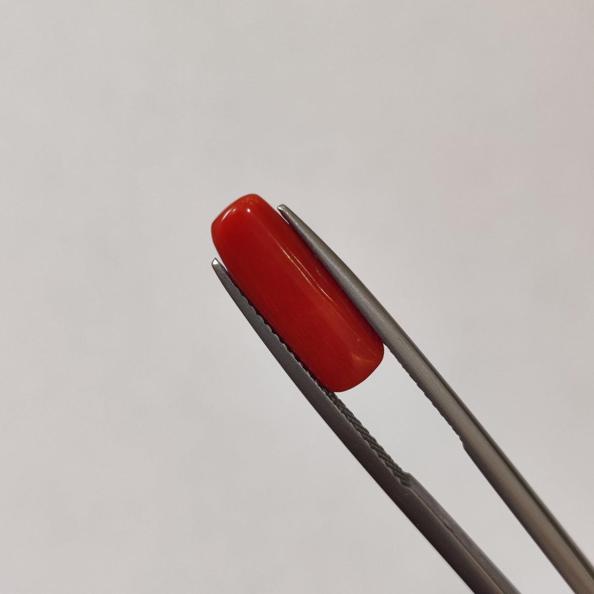 Natural Coral (Moonga) | Coral 111 | 3.62 Carat | Certified