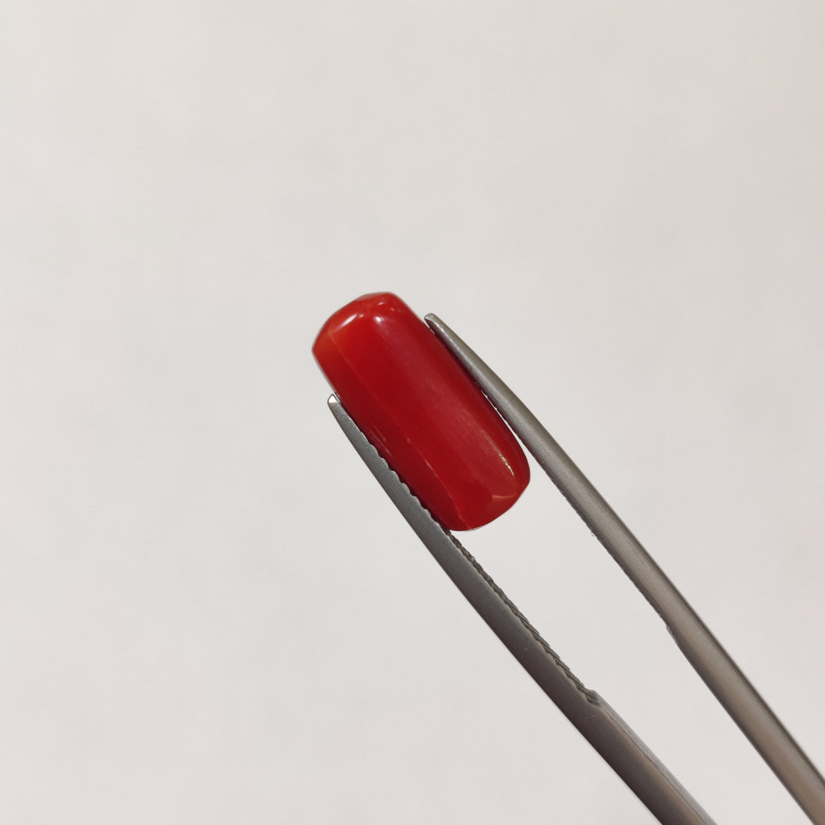 Natural Coral (Moonga) | Coral 106 | 3.47 Carat | Certified