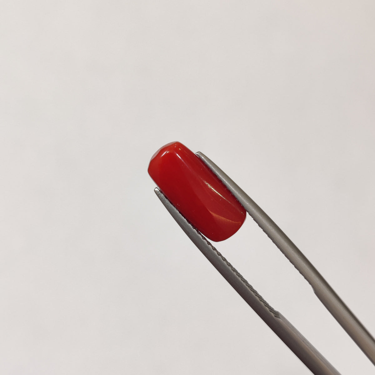 Natural Coral (Moonga) | Coral 106 | 3.47 Carat | Certified