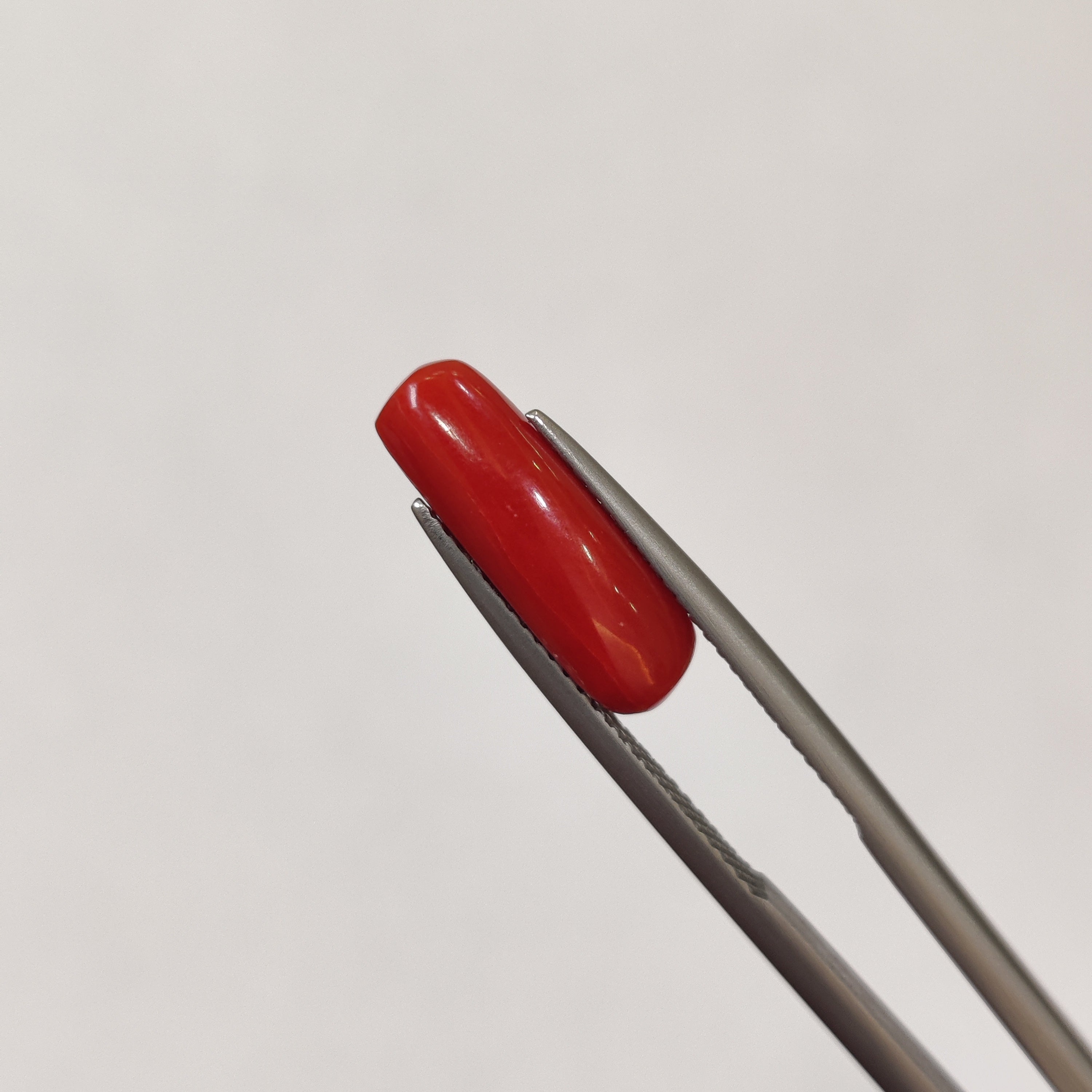 Coral | CORAL 105 | 3.73 Carat