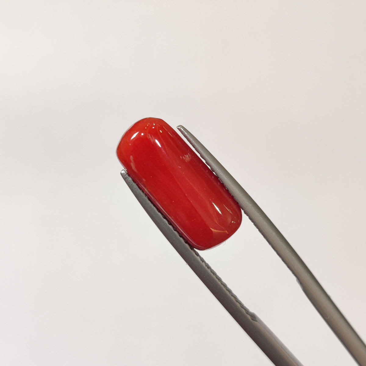 Natural Coral (Moonga) | Coral 117 | 5.73 Carat | Certified