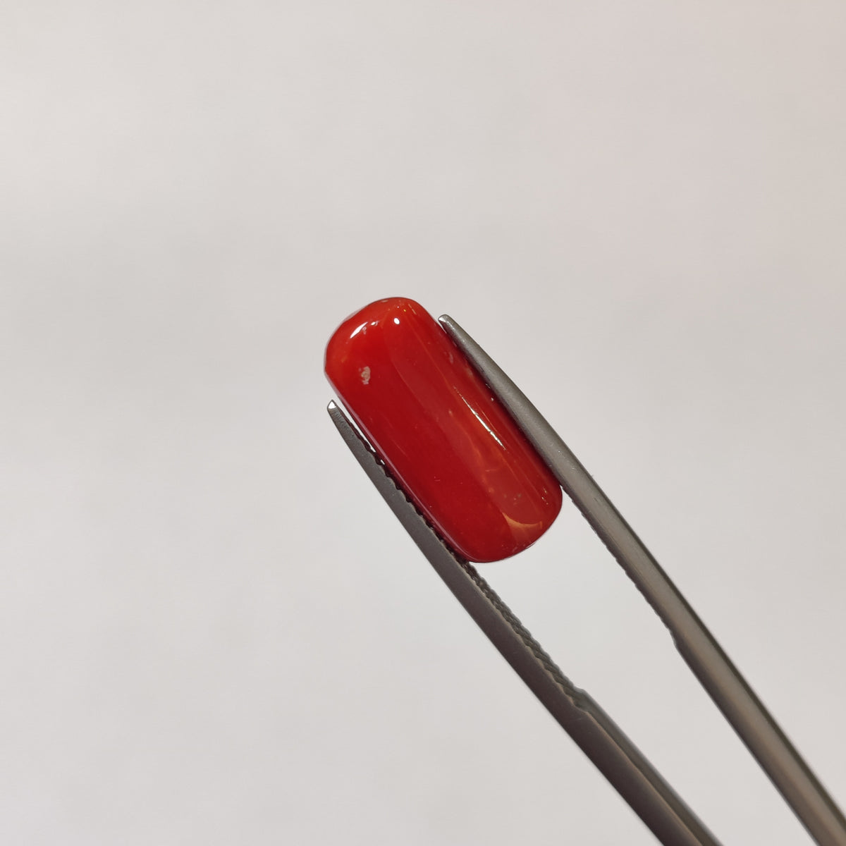 Natural Coral (Moonga) | Coral 117 | 5.73 Carat | Certified