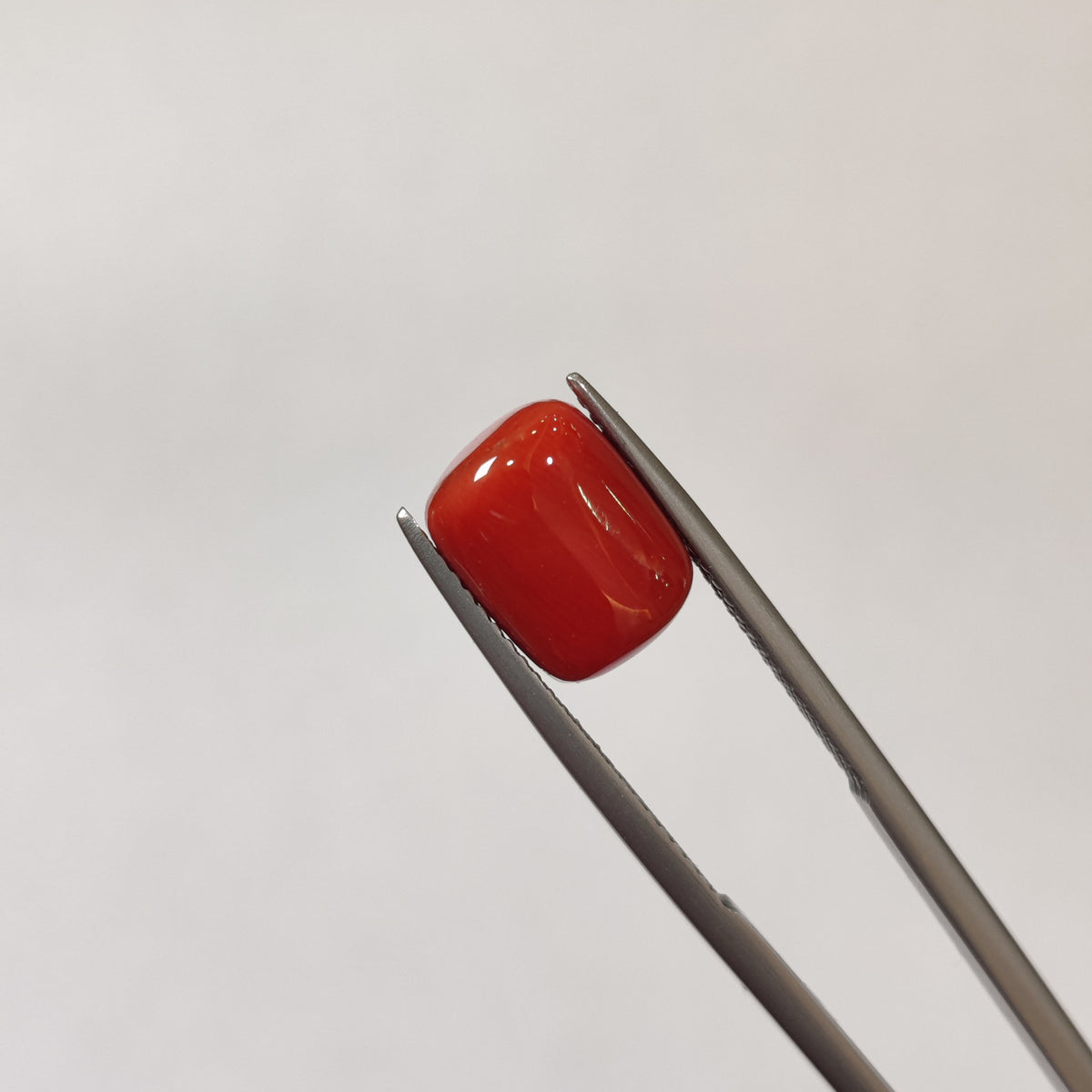 Natural Coral (Moonga) | Coral 119 | 5.37 Carat | Certified