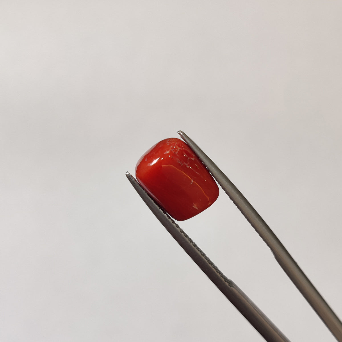 Natural Coral (Moonga) | Coral 119 | 5.37 Carat | Certified