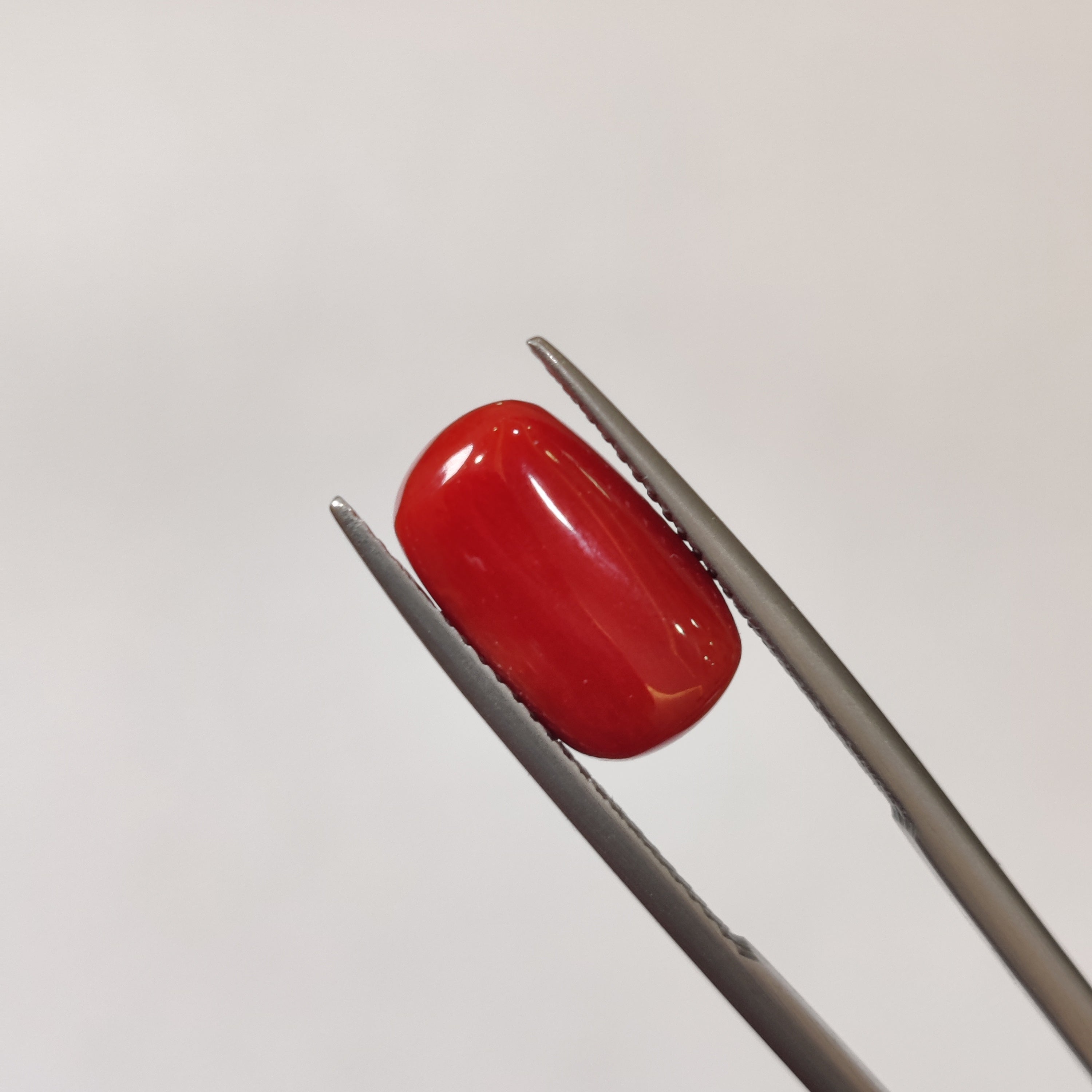 Coral | CORAL 118 | 5.83 Carat