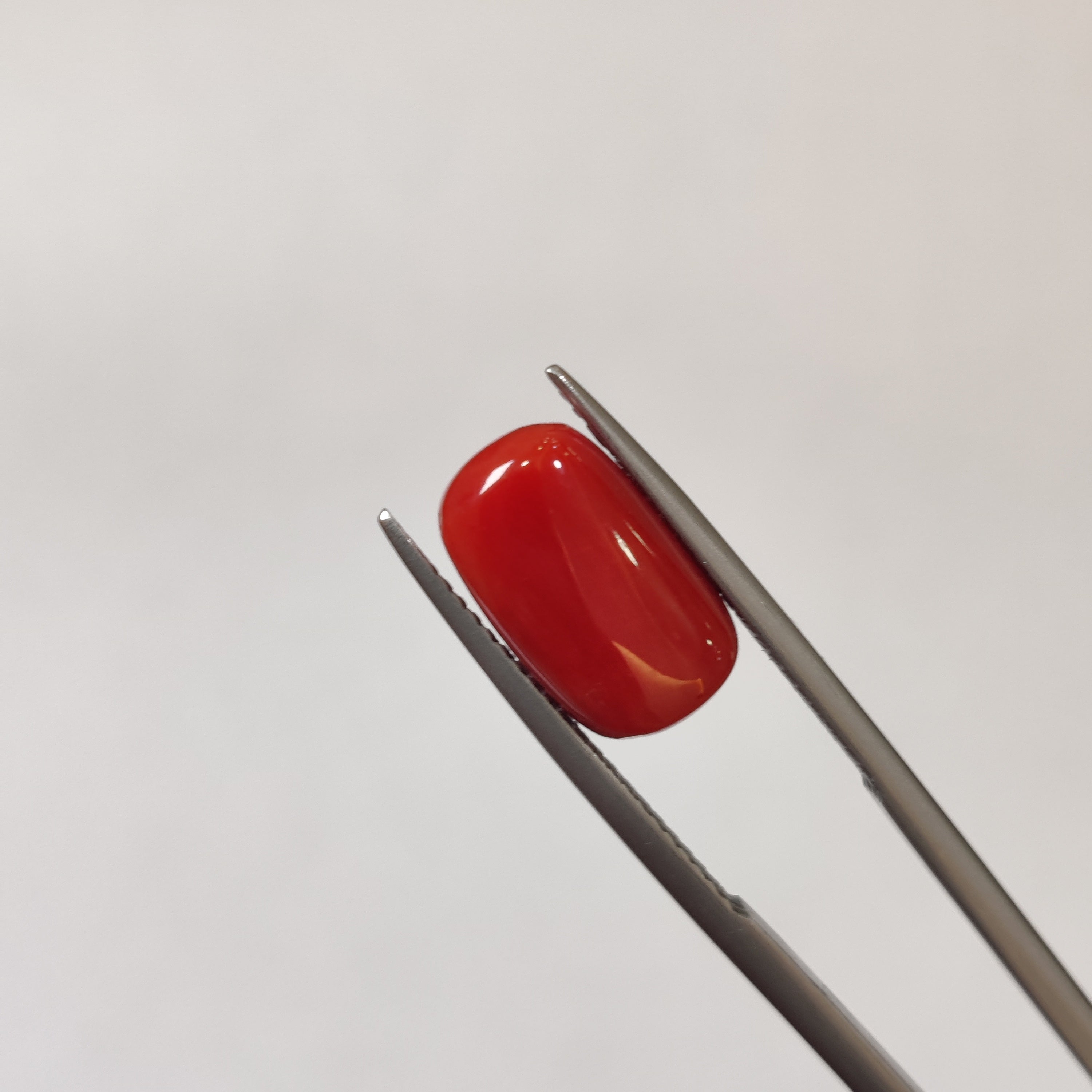 Coral | CORAL 118 | 5.83 Carat