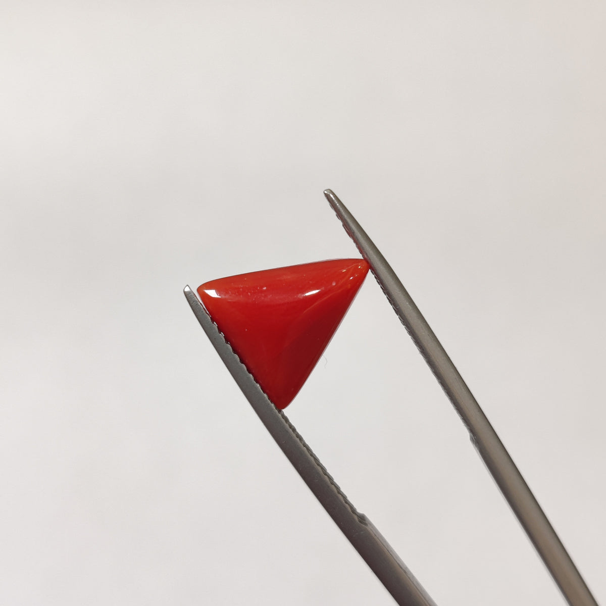 Natural Coral (Moonga) | Coral 134 | 3.41 Carat | Certified