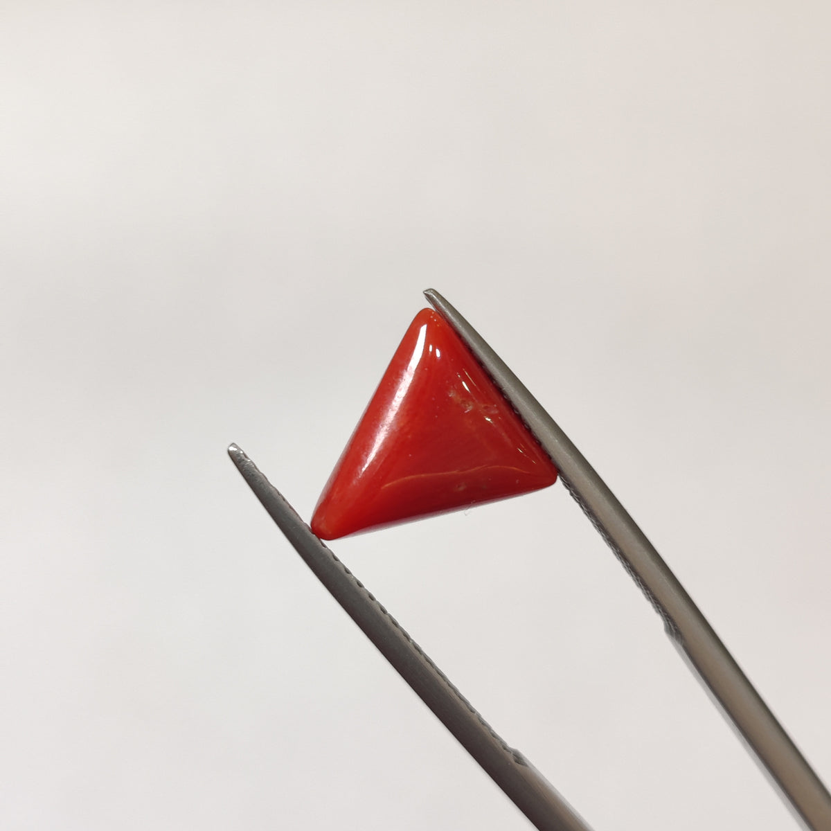 Natural Coral (Moonga) | Coral 134 | 3.41 Carat | Certified