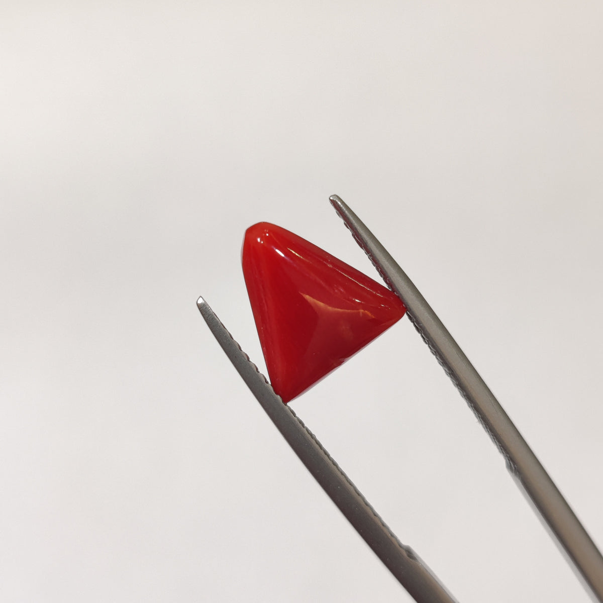 Natural Coral (Moonga) | Coral 132 | 3.05 Carat | Certified