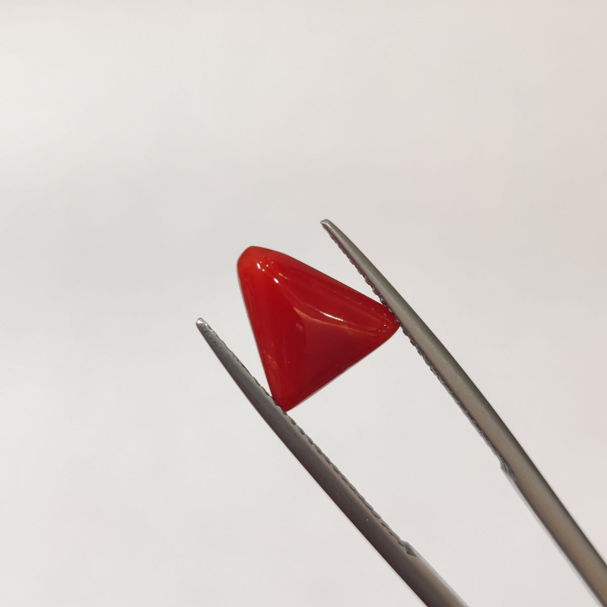 Natural Coral (Moonga) | Coral 132 | 3.05 Carat | Certified