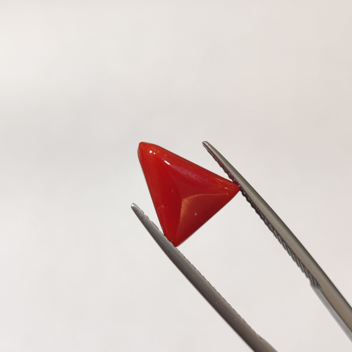 Natural Coral (Moonga) | Coral 133 | 3.18 Carat | Certified