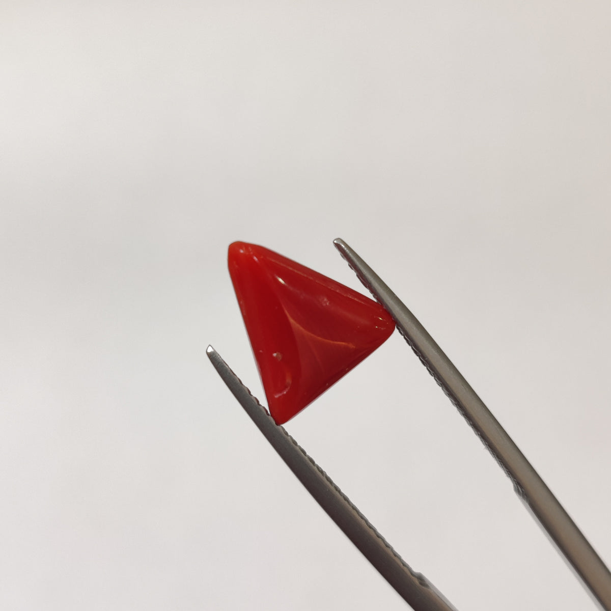 Natural Coral (Moonga) | Coral 133 | 3.18 Carat | Certified