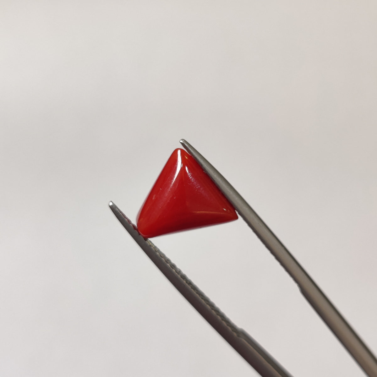 Natural Coral (Moonga) | Coral 131 | 3.3 Carat | Certified