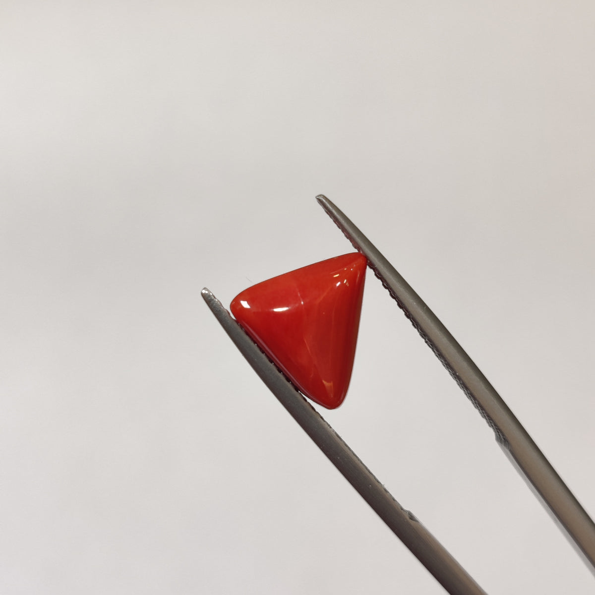 Natural Coral (Moonga) | Coral 130 | 3.4 Carat | Certified