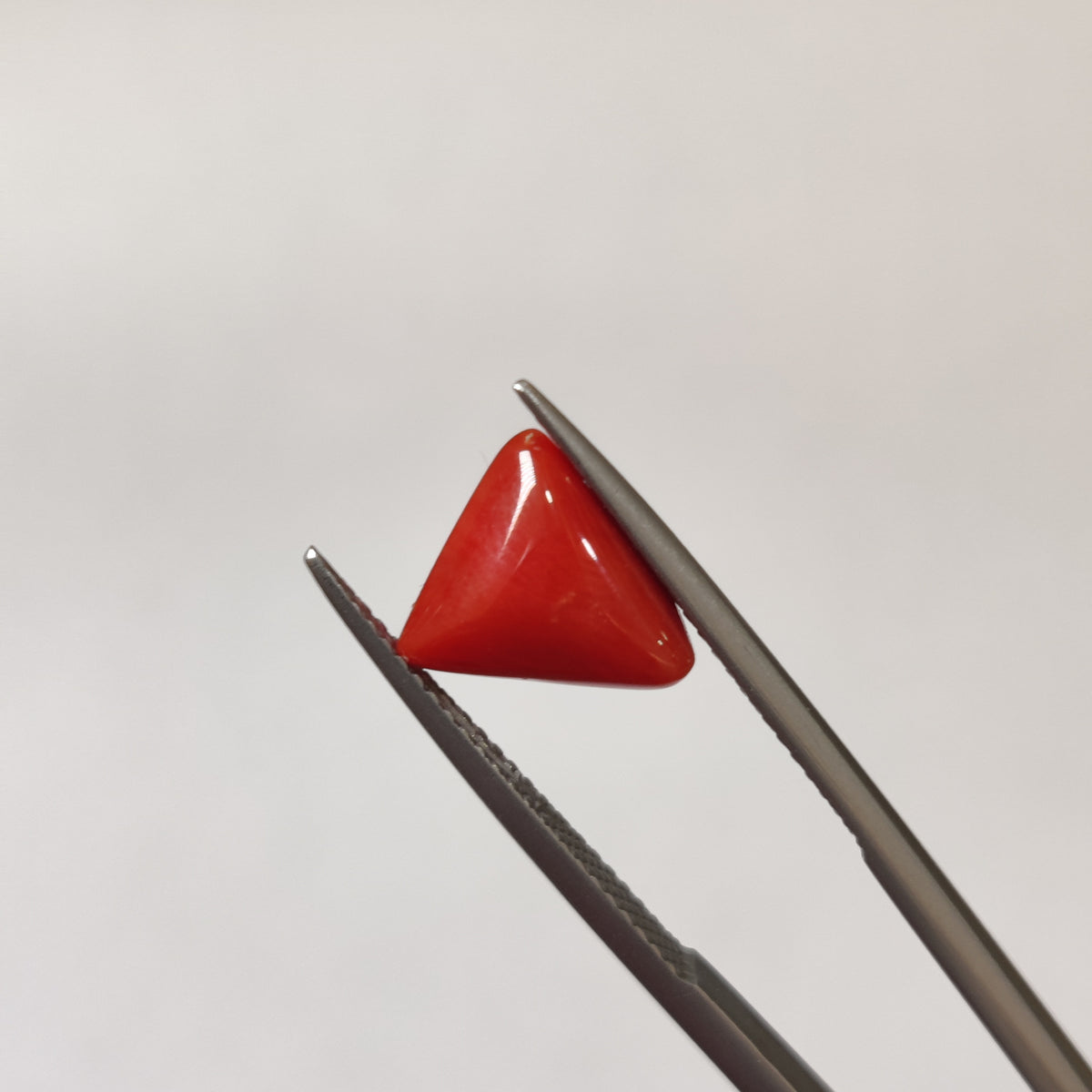 Natural Coral (Moonga) | Coral 130 | 3.4 Carat | Certified