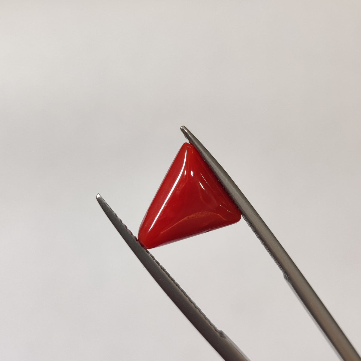 Natural Coral (Moonga) | Coral 128 | 3.49 Carat | Certified