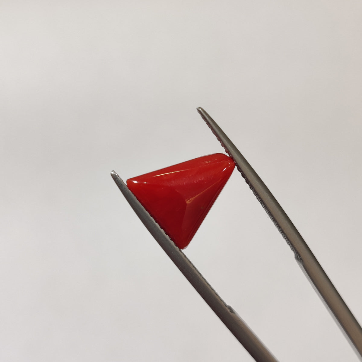 Natural Coral (Moonga) | Coral 128 | 3.49 Carat | Certified