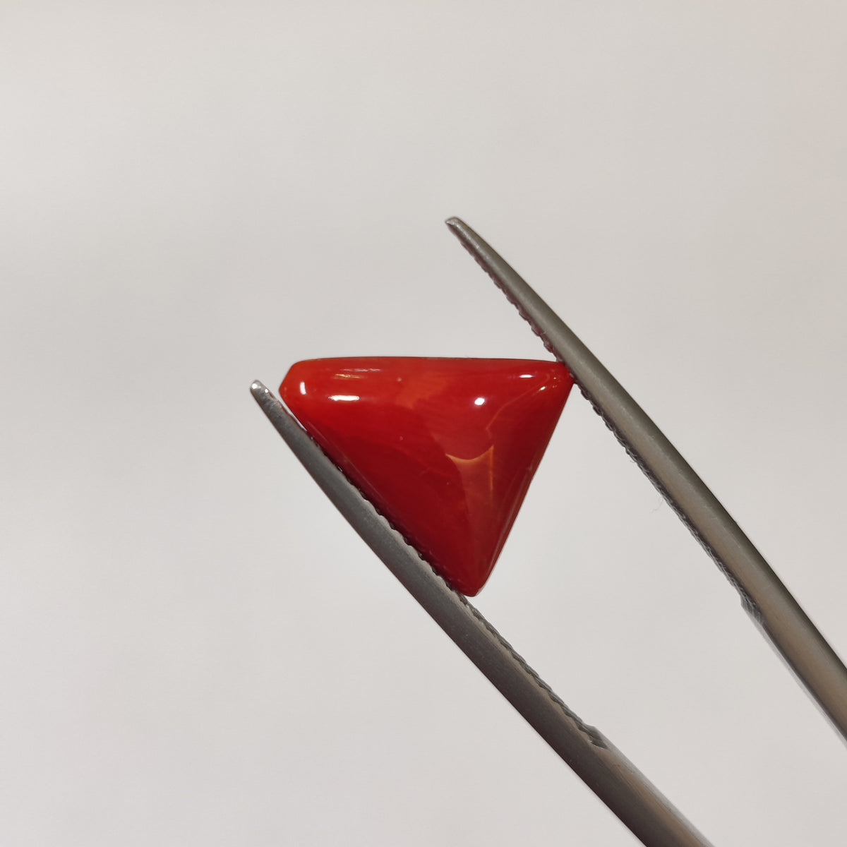 Natural Coral (Moonga) | Coral 127 | 3.25 Carat | Certified