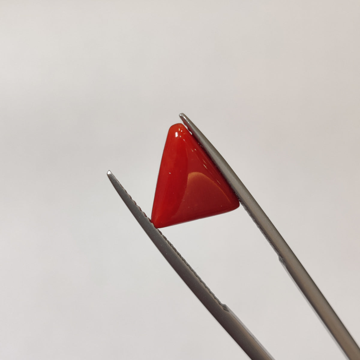 Natural Coral (Moonga) | Coral 127 | 3.25 Carat | Certified