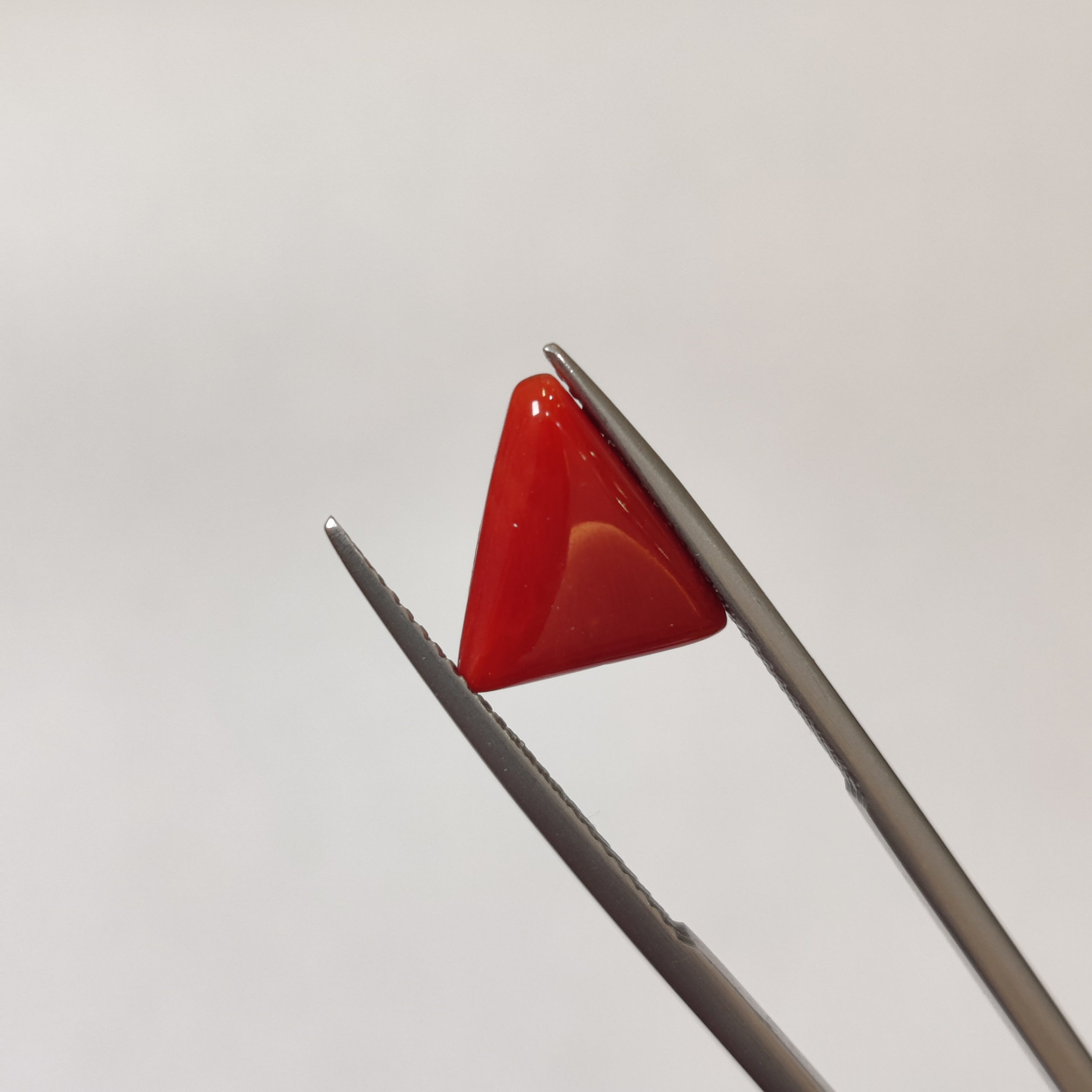 Coral | Coral 127 | 3.25 Carat