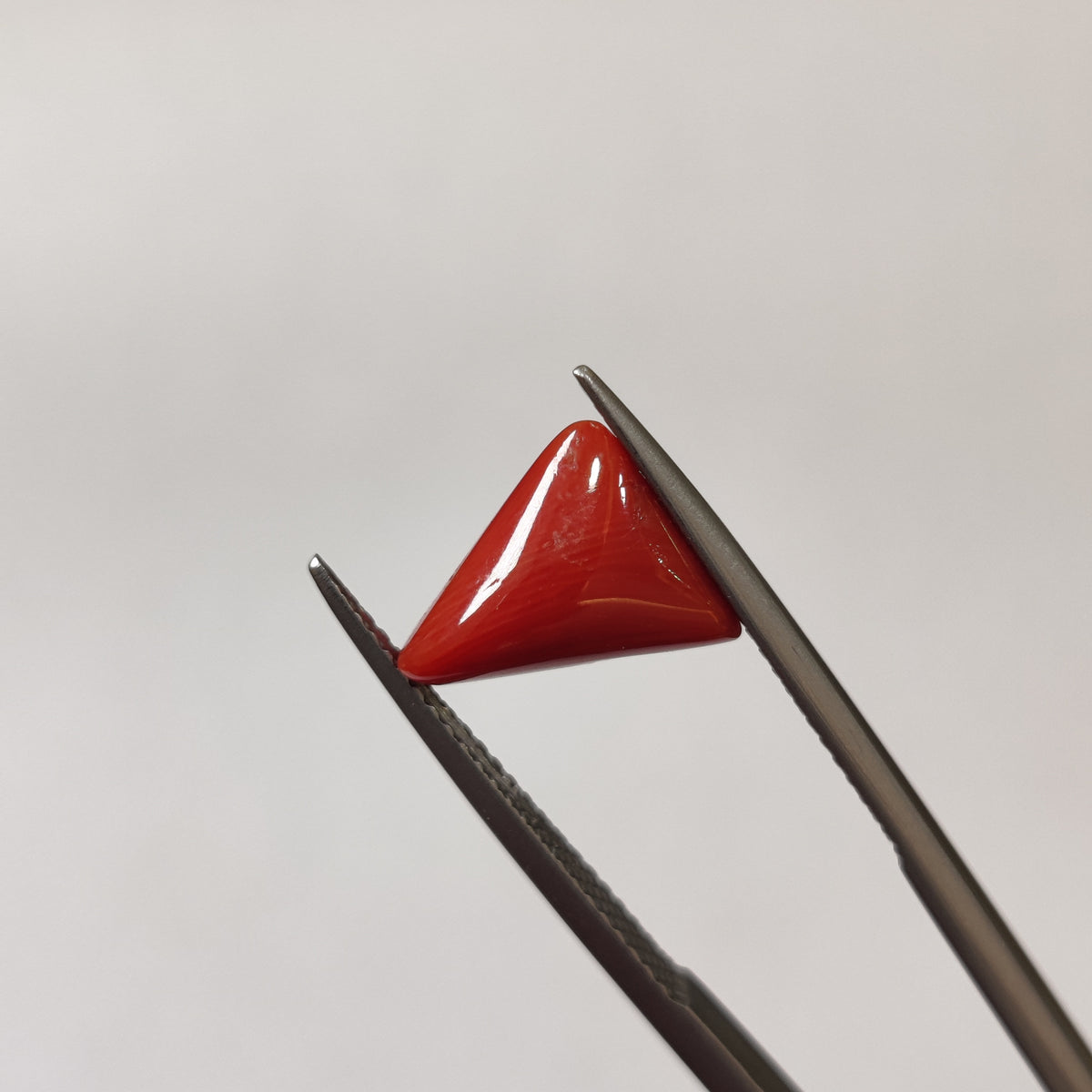 Natural Coral (Moonga) | Coral 126 | 3.21 Carat | Certified
