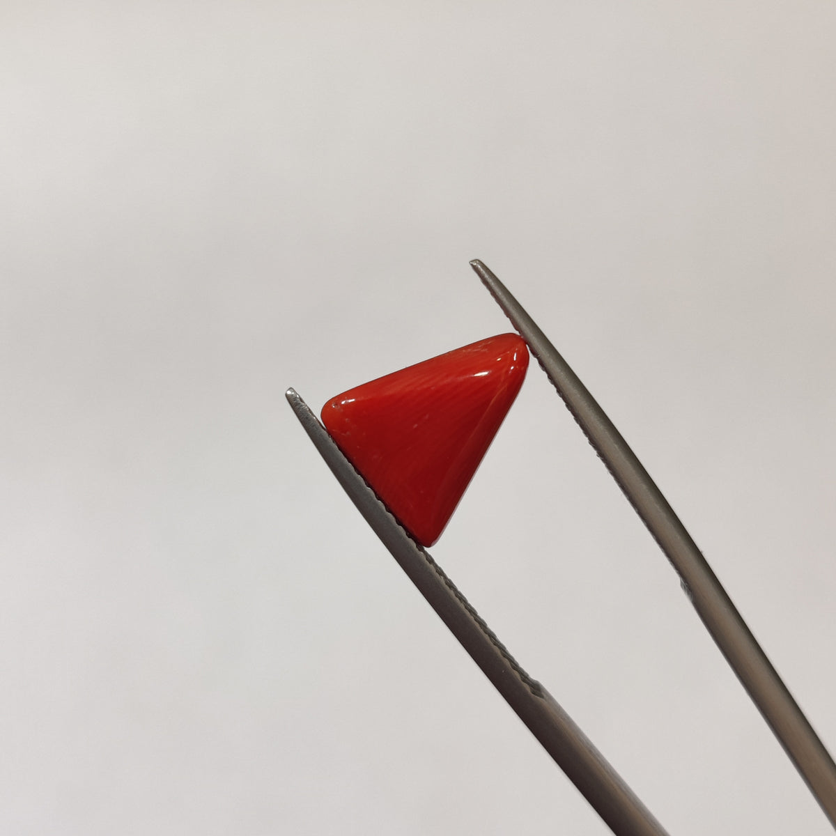 Natural Coral (Moonga) | Coral 126 | 3.21 Carat | Certified