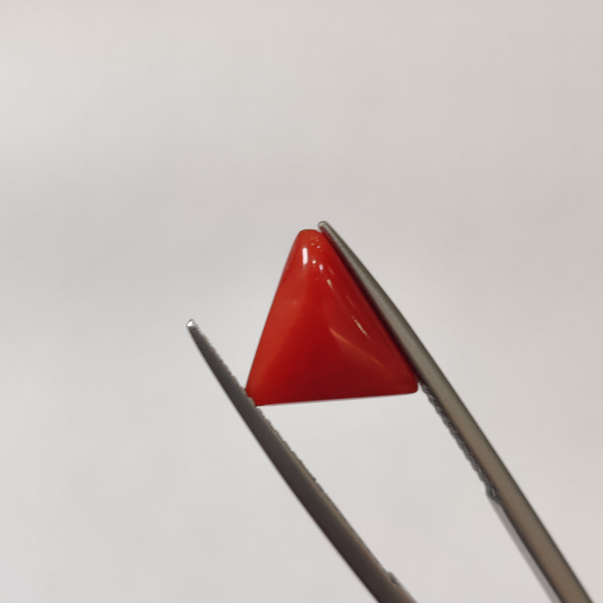 Natural Coral (Moonga) | Coral 125 | 3.09 Carat | Certified