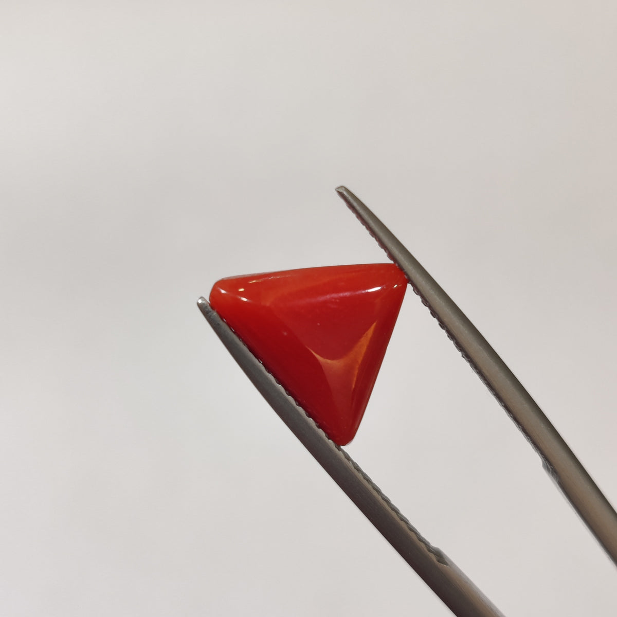 Natural Coral (Moonga) | Coral 125 | 3.09 Carat | Certified