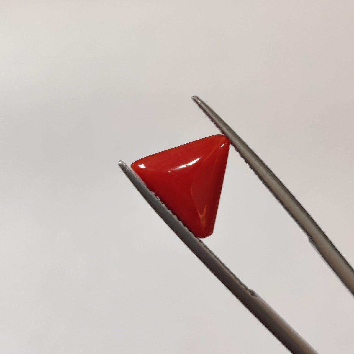 Natural Coral (Moonga) | Coral 123 | 3.23 Carat | Certified