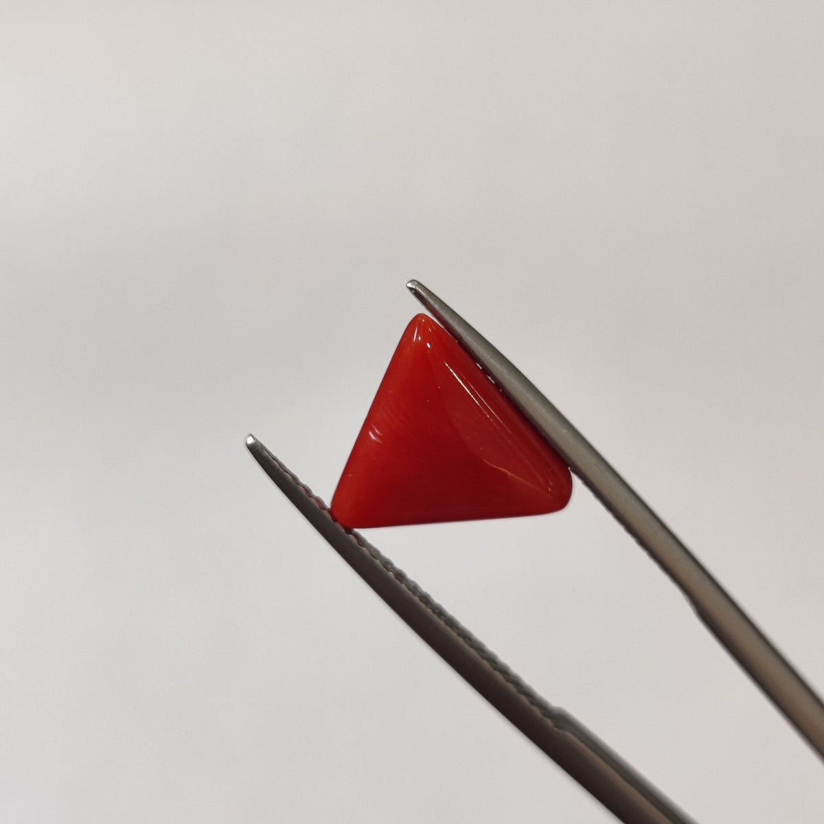 Natural Coral (Moonga) | Coral 123 | 3.23 Carat | Certified