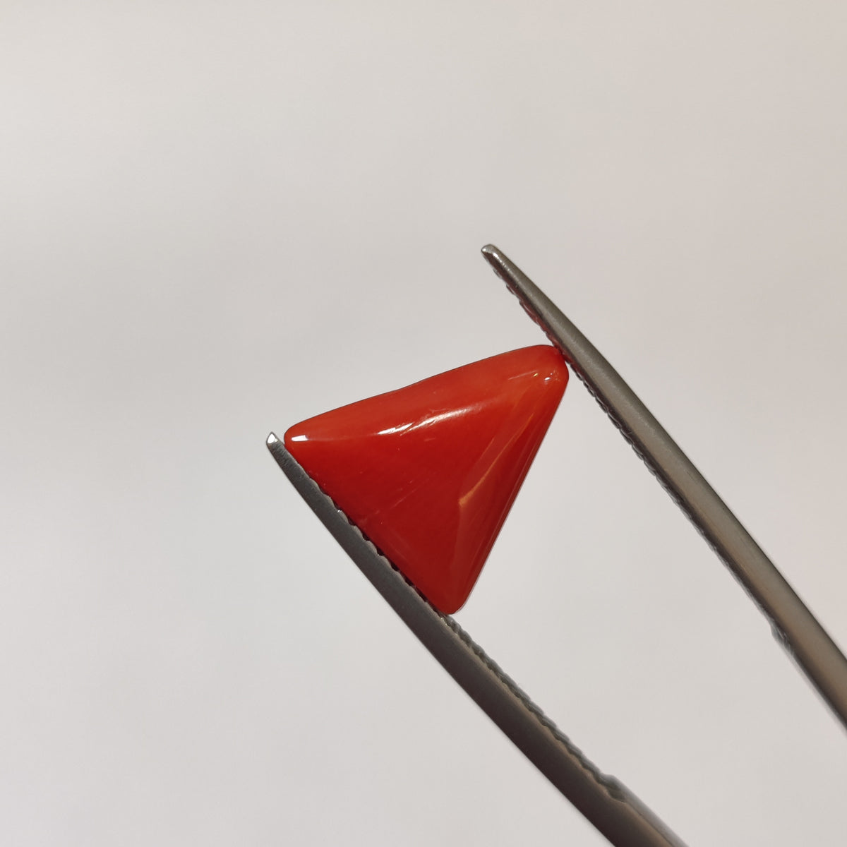 Natural Coral (Moonga) | Coral 124 | 3.12 Carat | Certified
