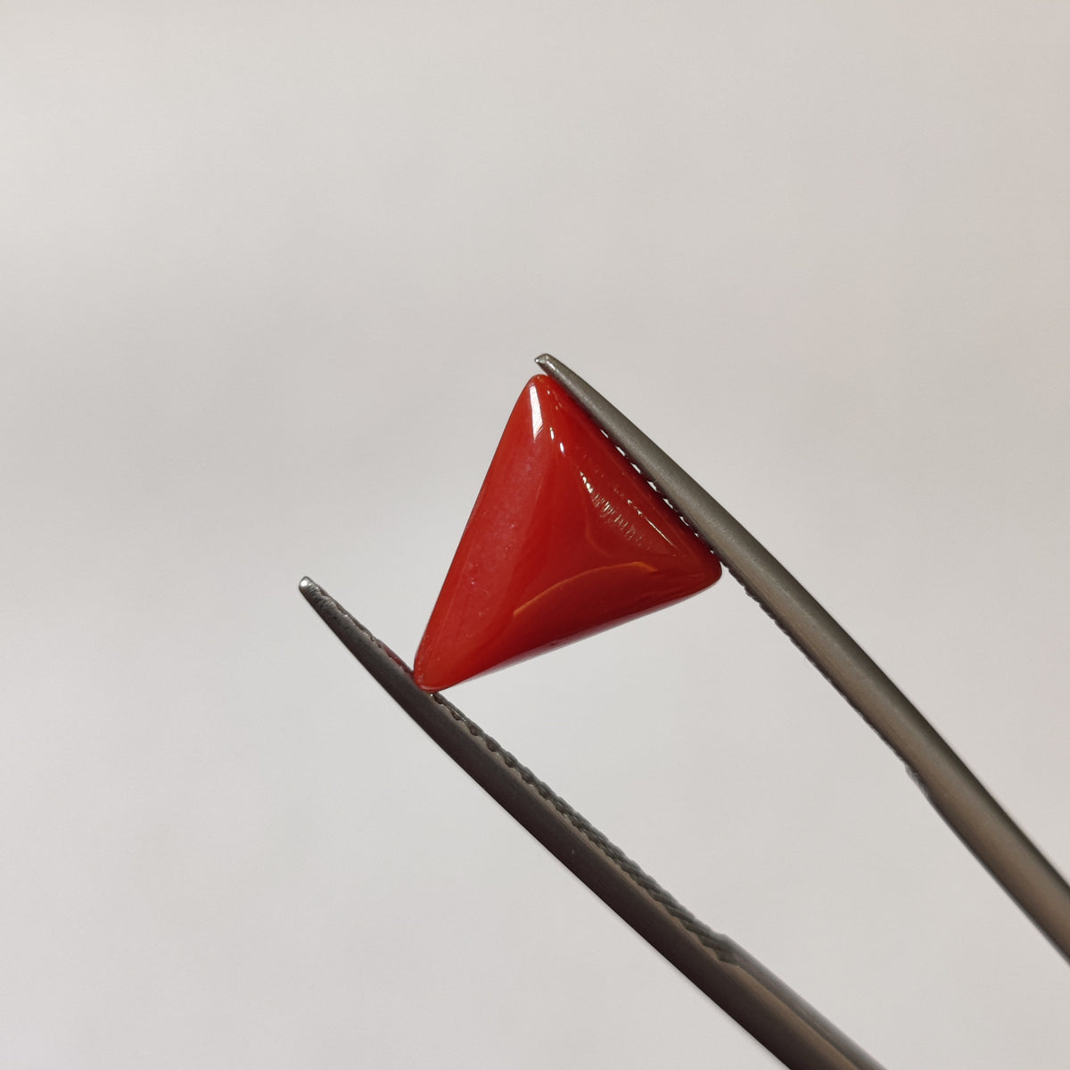 Natural Coral (Moonga) | Coral 124 | 3.12 Carat | Certified