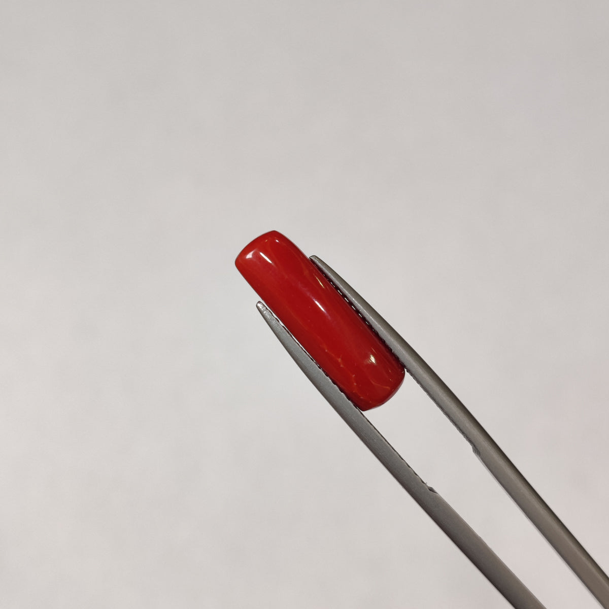 Natural Coral (Moonga) | Coral 113 | 4.17 Carat | Certified