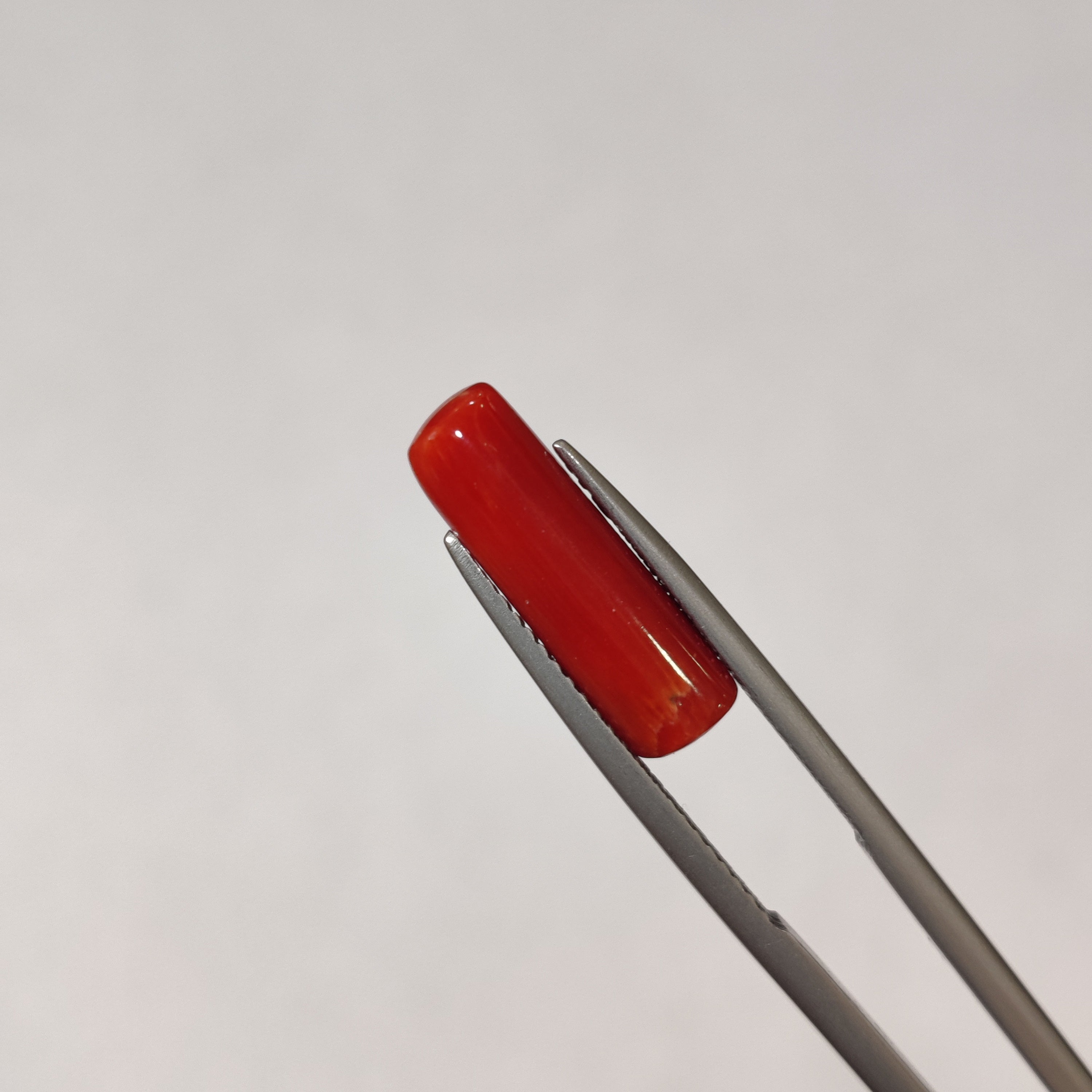 Coral | CORAL 113 | 4.17 Carat