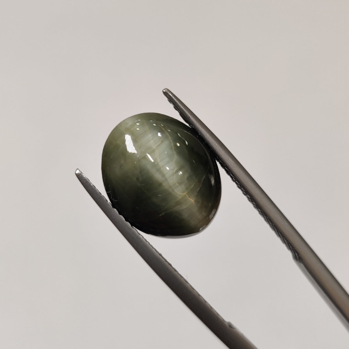 Natural Cats Eye (Lehsunia) | CE 13 | 6.75 Carat | Certified