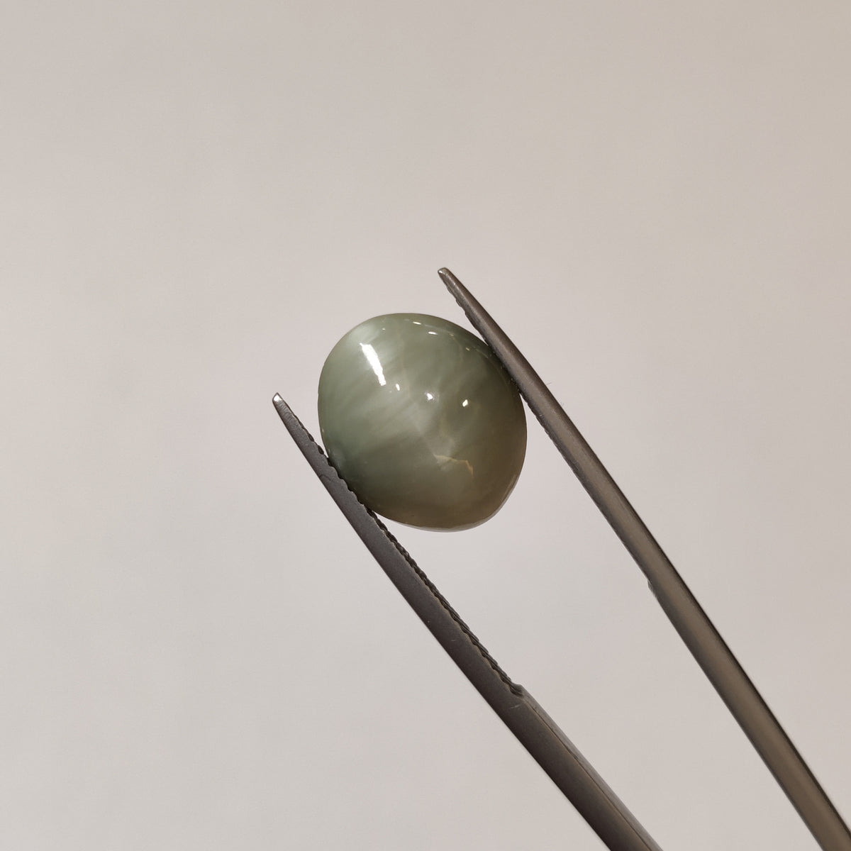 Natural Cats Eye (Lehsunia) | CE 16 | 5.54 Carat | Certified