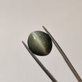Cats Eye | CE 29 | 11.38 Carat