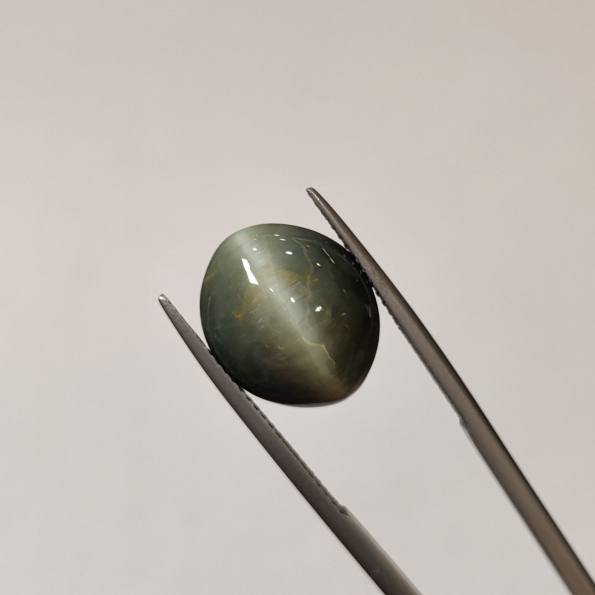 Natural Cats Eye (Lehsunia) | CE 29 | 11.38 Carat | Certified