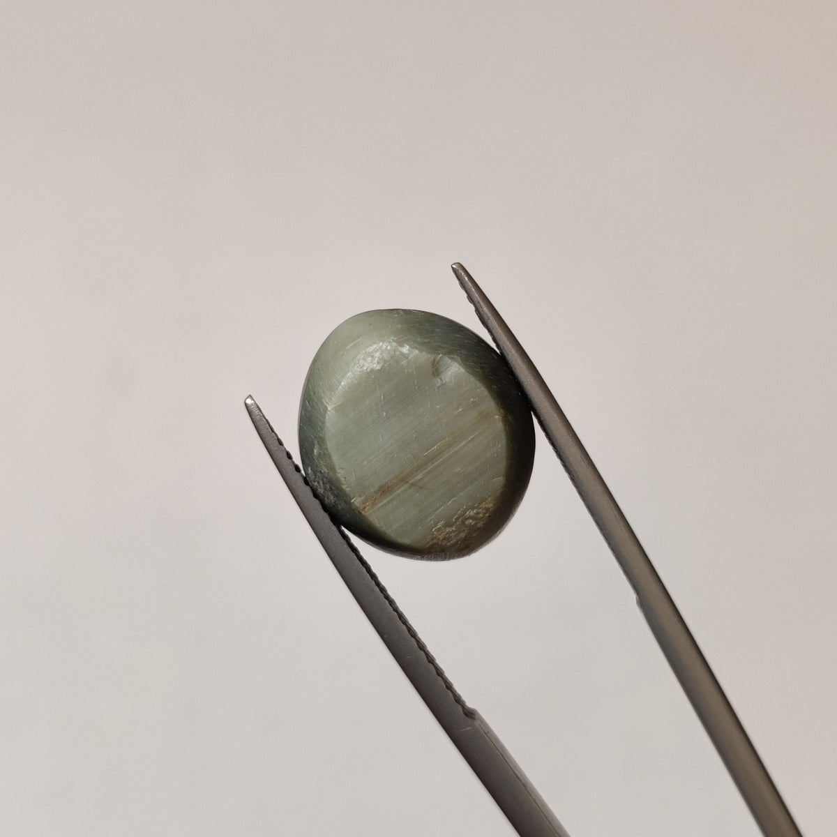 Natural Cats Eye (Lehsunia) | CE 29 | 11.38 Carat | Certified