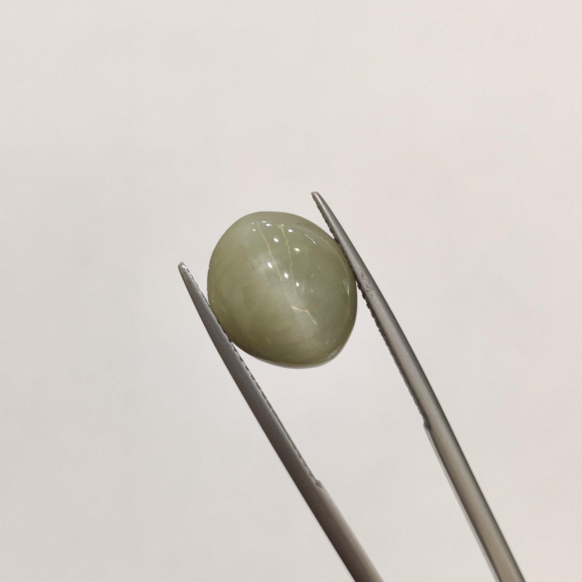 Natural Cats Eye (Lehsunia) | CE 34 | 7.15 Carat | Certified