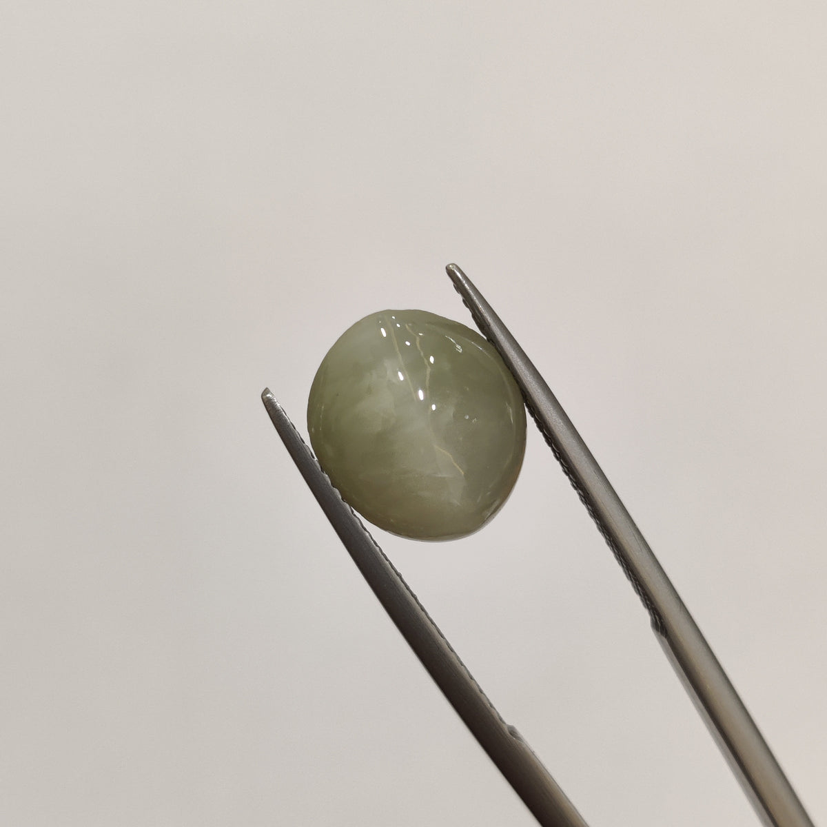 Natural Cats Eye (Lehsunia) | CE 37 | 6.01 Carat | Certified