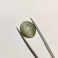 Cats Eye | CE 43 | 7.32 Carat