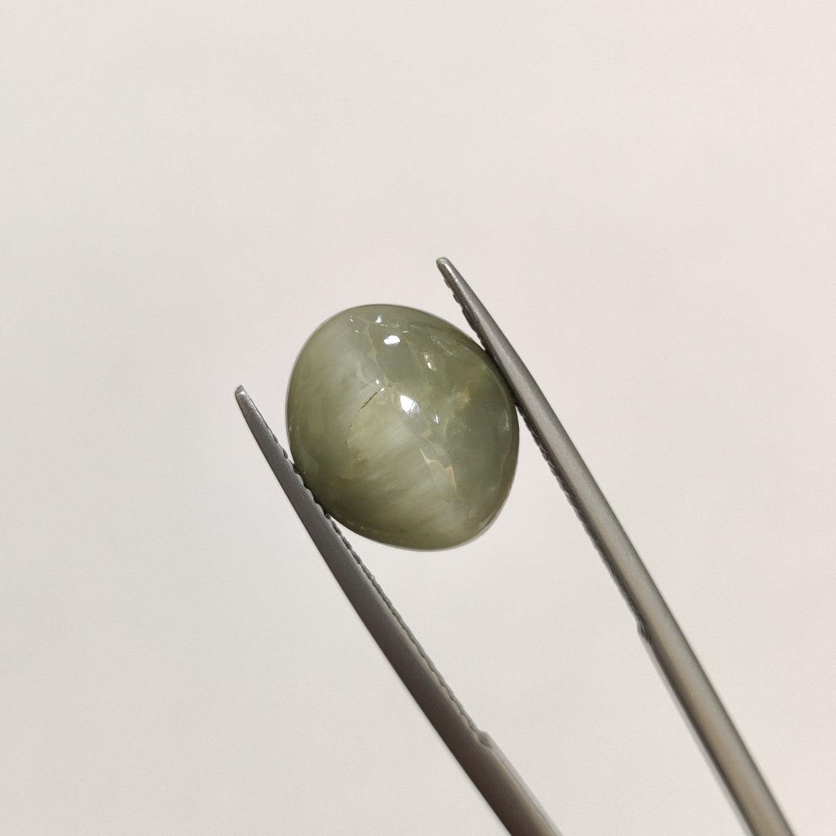 Natural Cats Eye (Lehsunia) | CE 43 | 7.32 Carat | Certified
