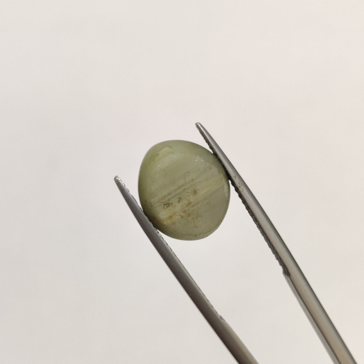 Natural Cats Eye (Lehsunia) | CE 43 | 7.32 Carat | Certified