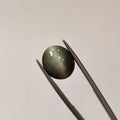 Cats Eye | CE 45 | 6.84 Carat
