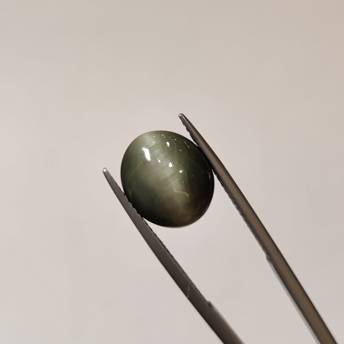 Natural Cats Eye (Lehsunia) | CE 45 | 6.84 Carat | Certified