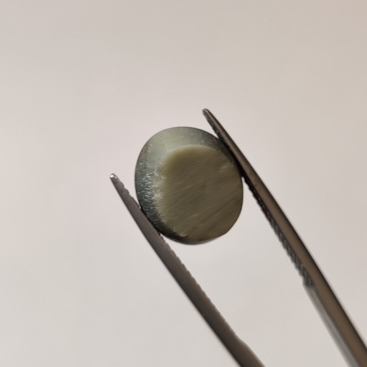 Natural Cats Eye (Lehsunia) | CE 45 | 6.84 Carat | Certified