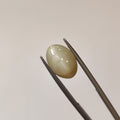 Cats Eye | CE 65 | 5.21 Carat