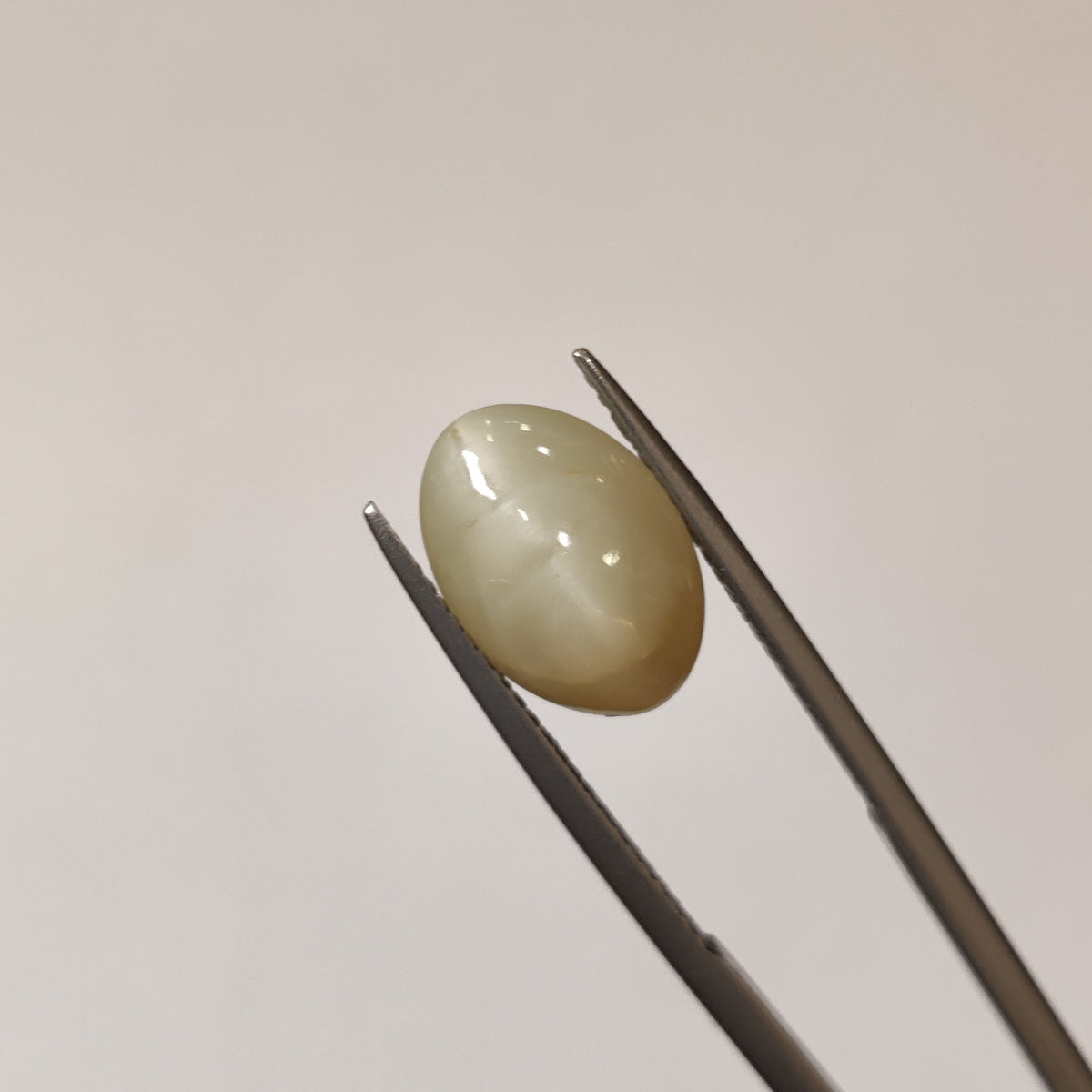Natural Cats Eye (Lehsunia) | CE 65 | 5.21 Carat | Certified